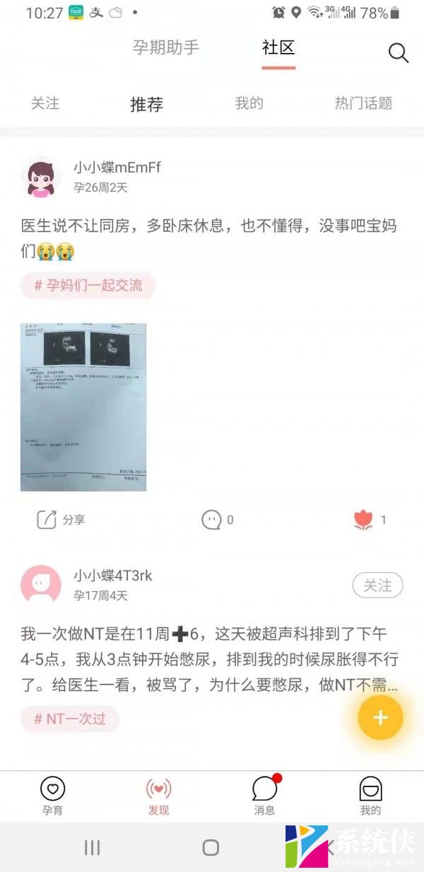 蝶窝孕育