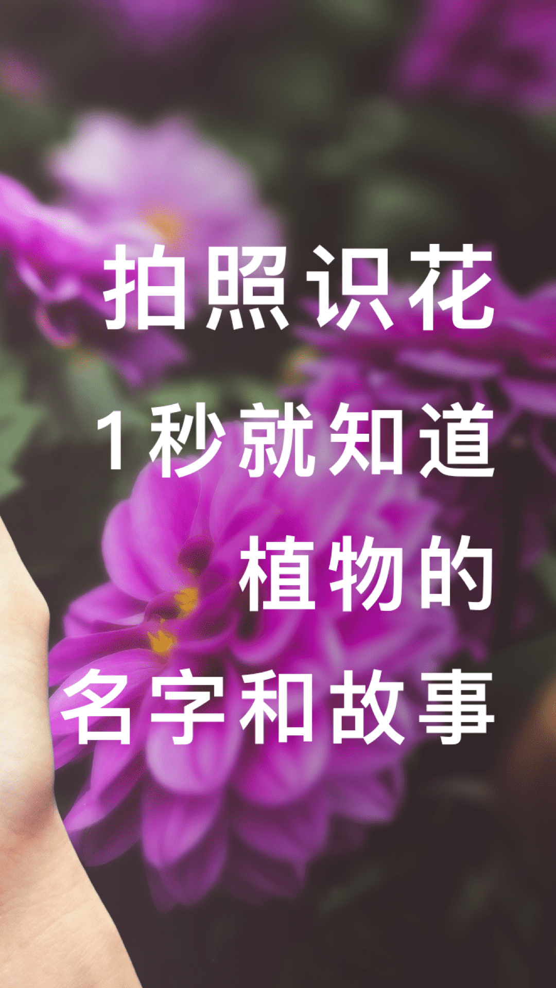 形色app下载_图1