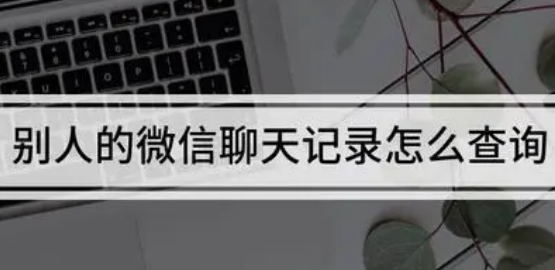 怎么查看他人微信信息