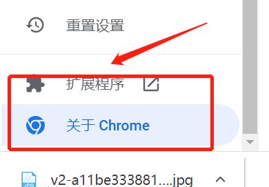 谷歌浏览器