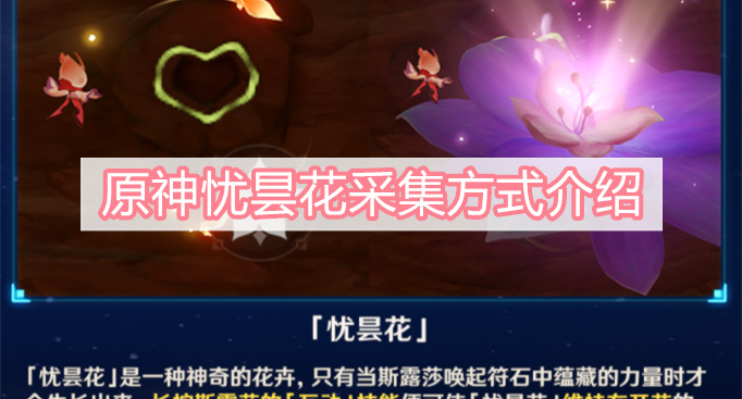 原神忧昙花采集方式介绍