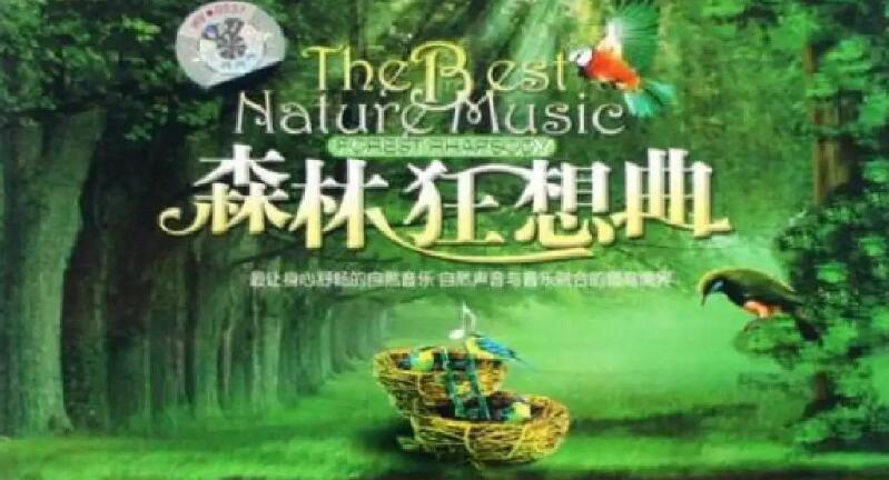 光遇森林狂想曲乐谱