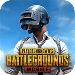 pubg地铁逃生 v2.5.3