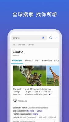 必应搜索app下载官网安卓版_必应搜索手机版下载官方免费版v29.2.21 最新版 运行截图2