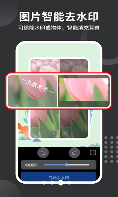 免费去水印大师破解版下载_免费去水印大师免费版下载v1.4.7 最新版 运行截图2