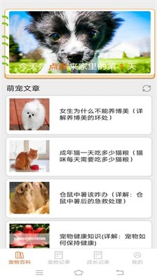 萌宠多点界面展示