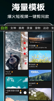 视频剪辑Pic亮点解析