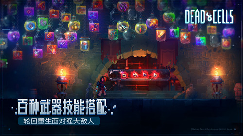 重生细胞免付费版下载安卓版-重生细胞免费版无需付费 v3.2.4下载 运行截图3