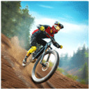 越野自行车特技2 v1.9