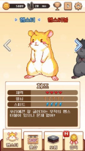 仓鼠球手游完整版-仓鼠球黄金版手机版下载 运行截图3