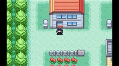 口袋妖怪圣灰游戏汉化版下载安装-口袋妖怪圣灰2023最新游戏下载 运行截图2