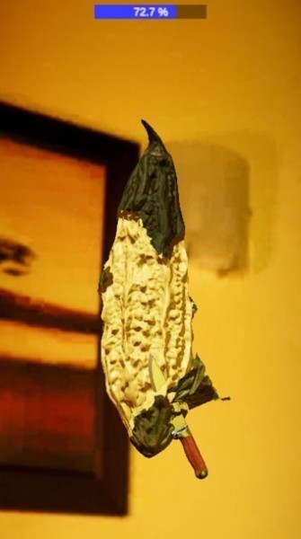 完美削皮游戏下载-完美削皮手机版下载 运行截图2