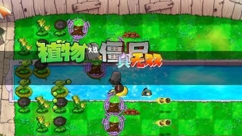 植物大战僵尸真无双版新版本下载-植物大战僵尸真无双版(时空go蛙)下载手机版v1.0.0.1 运行截图1