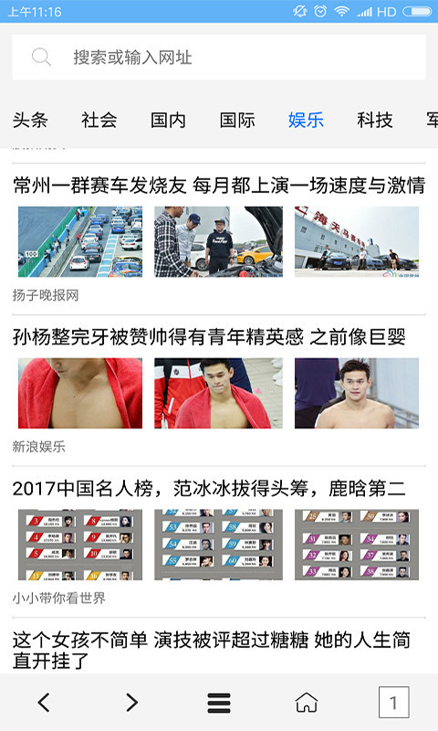 vip浏览器界面展示